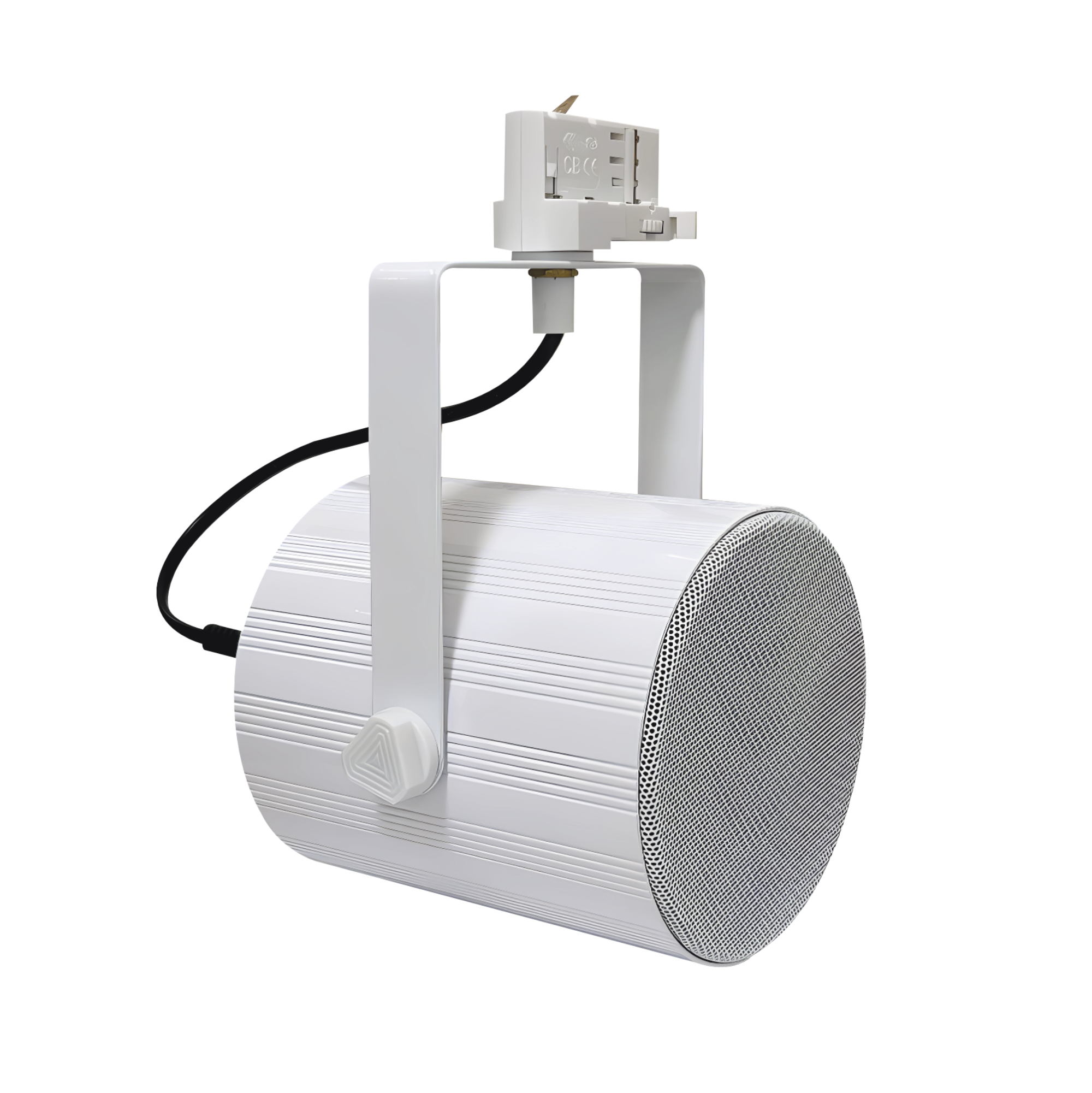 Diffusore amplificato a binario - Glemm FRDX SPK1W