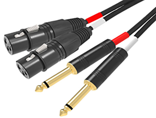 Cavo 2 x XLR F / 2 x 6,3mm - 3m - Ridem RDM C93